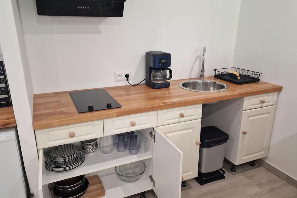 Ferienwohnung Ariege, Agreable T2 En Bord De Riviere Val-de-Sos Exterior foto